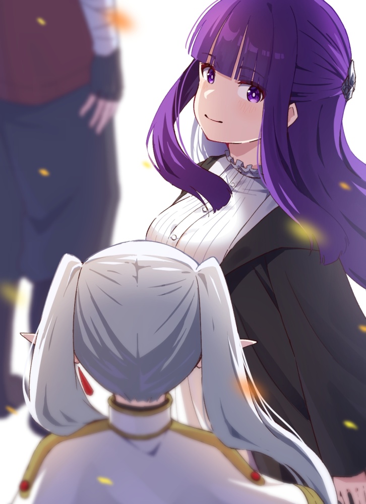 葬送のフリーレンのエロ画像 12