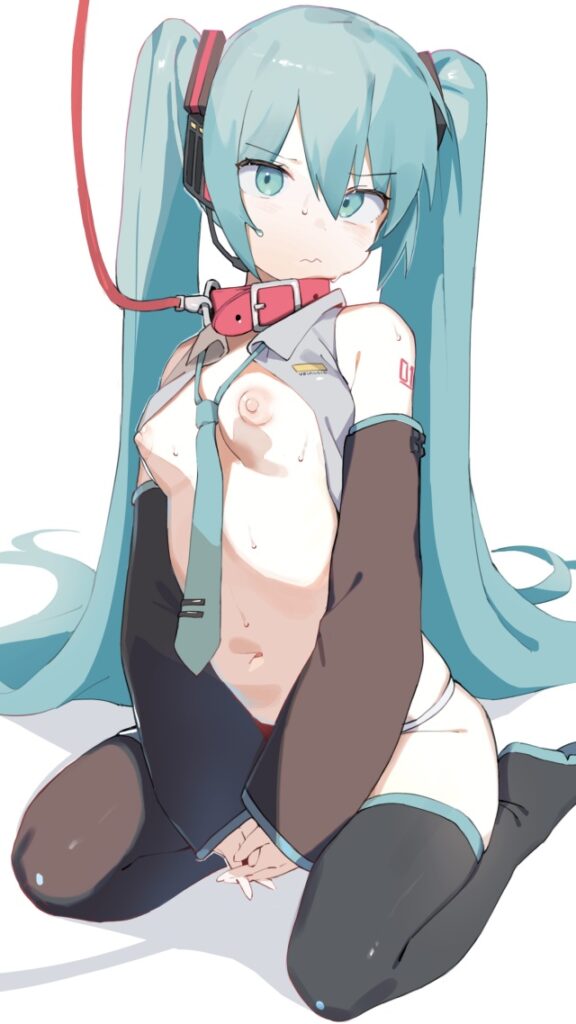 ボーカロイドのエロ画像 13