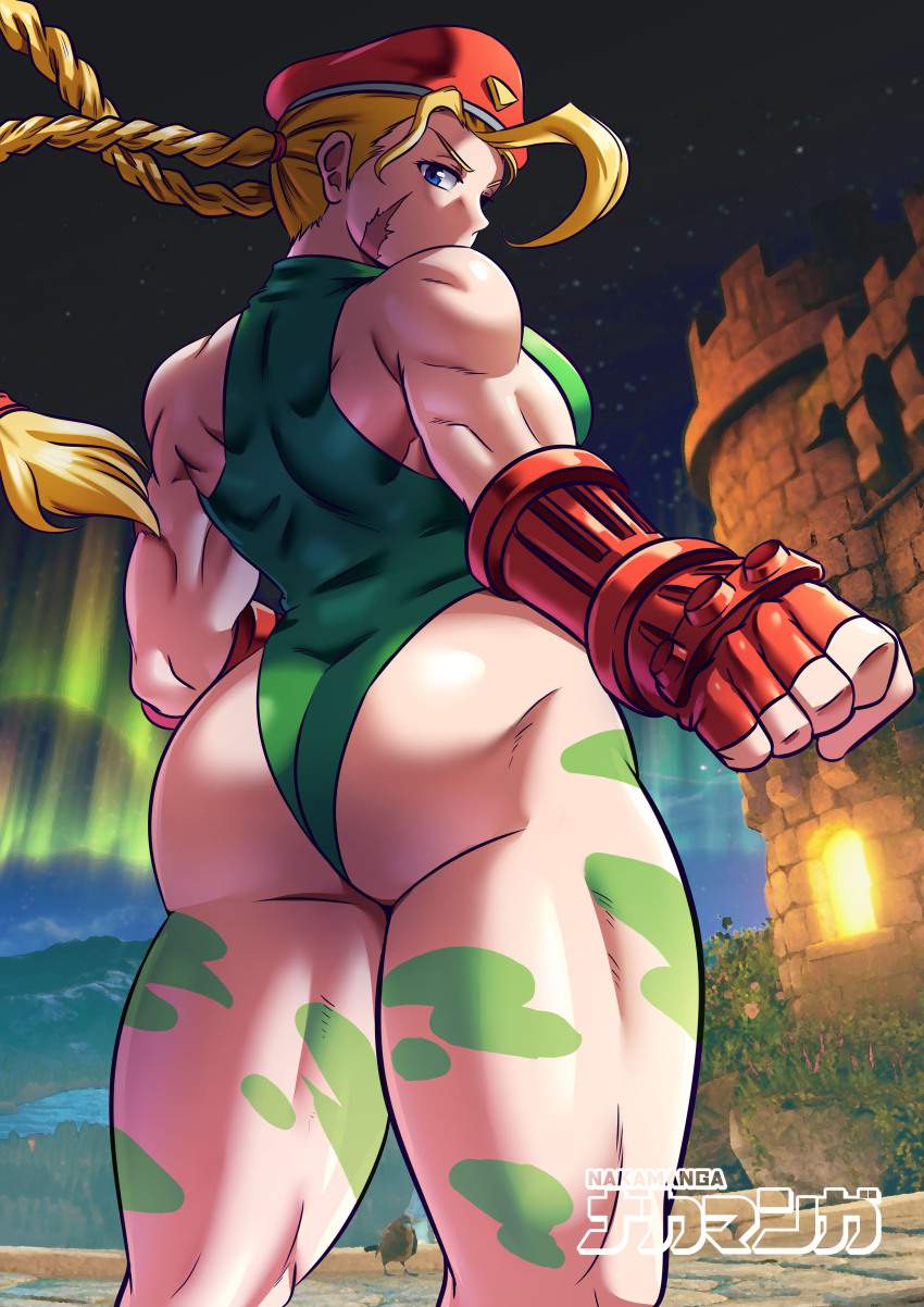 ストリートファイターのエロ画像 5