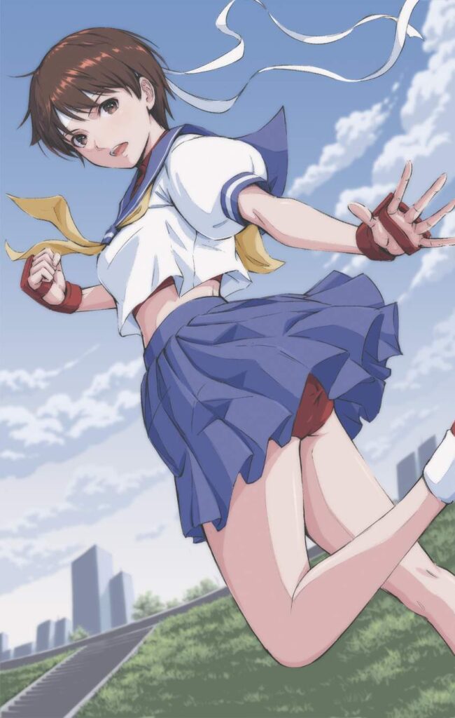 ストリートファイターのエロ画像 12