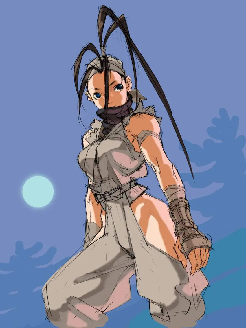 ストリートファイターのエロ画像 12