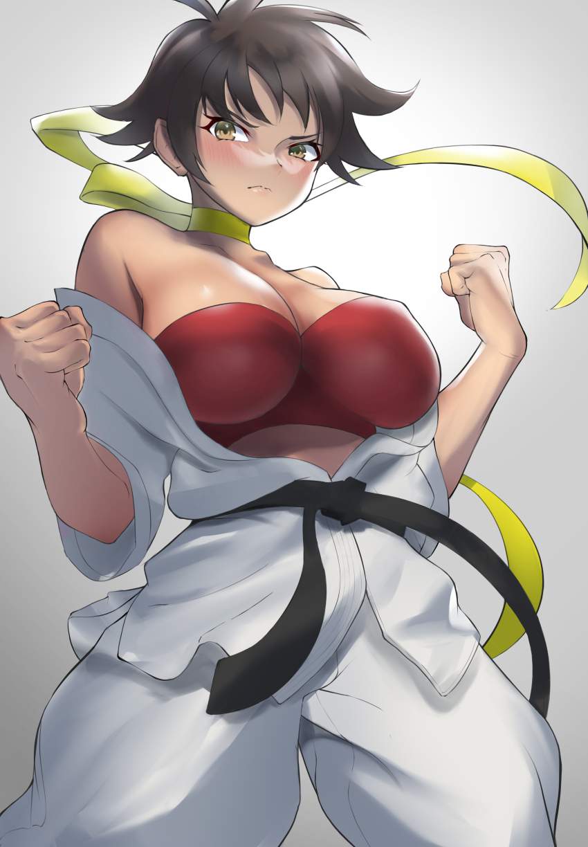 ストリートファイターのエロ画像 14
