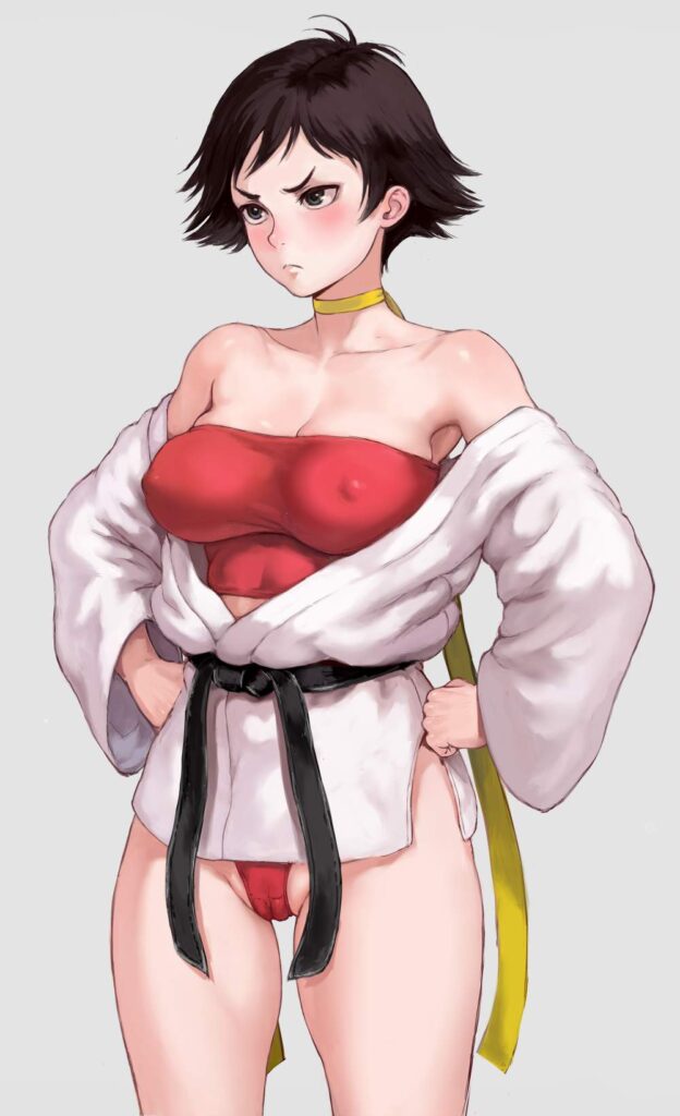 ストリートファイターのエロ画像 17